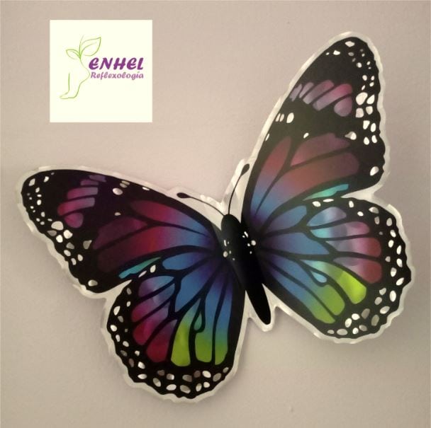Colibrí de mariposa de colores para reflexología en ENHEL Reflexología.